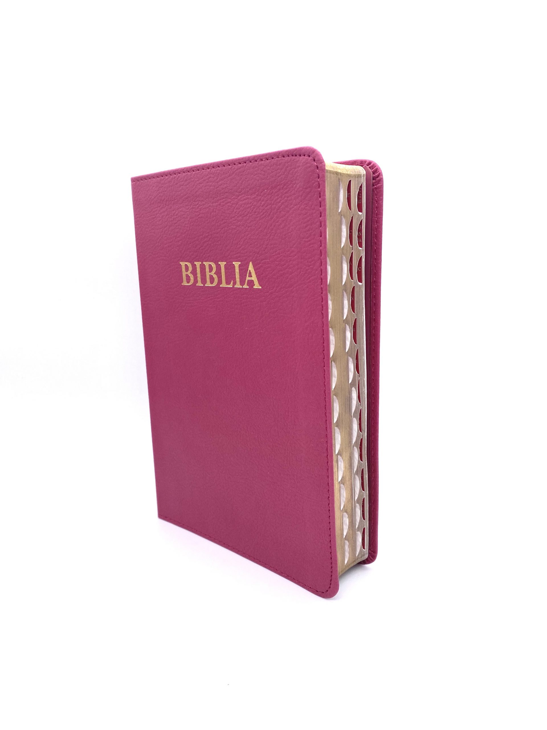 biblia-057pu-roz-carti-crestine-londra