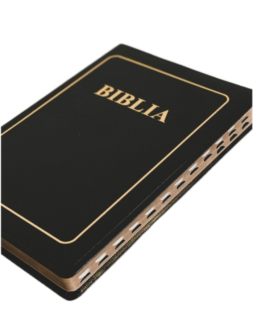biblia-088-ti-1-carti-crestine-londra