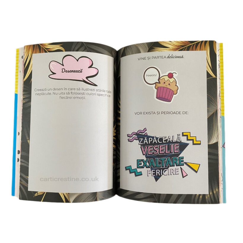 jurnal-de-domisoara-1-carti-crestine-londra-uk