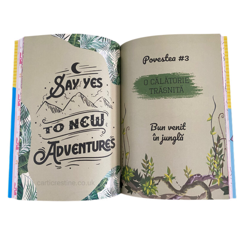 jurnal-de-domisoara-3-carti-crestine-londra-uk