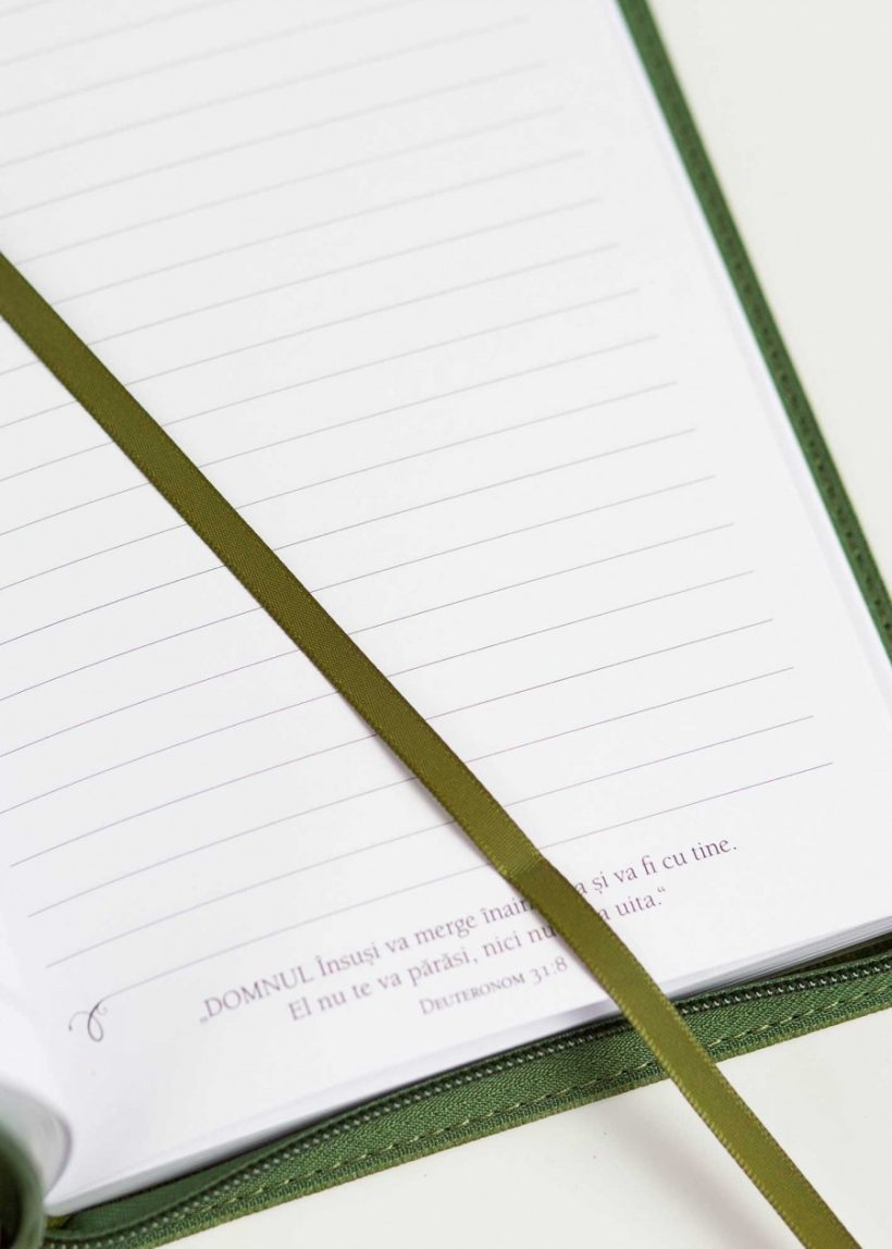 jurnal-ei-zboara-ca-vulturii-verde-3-carti-crestine-londra