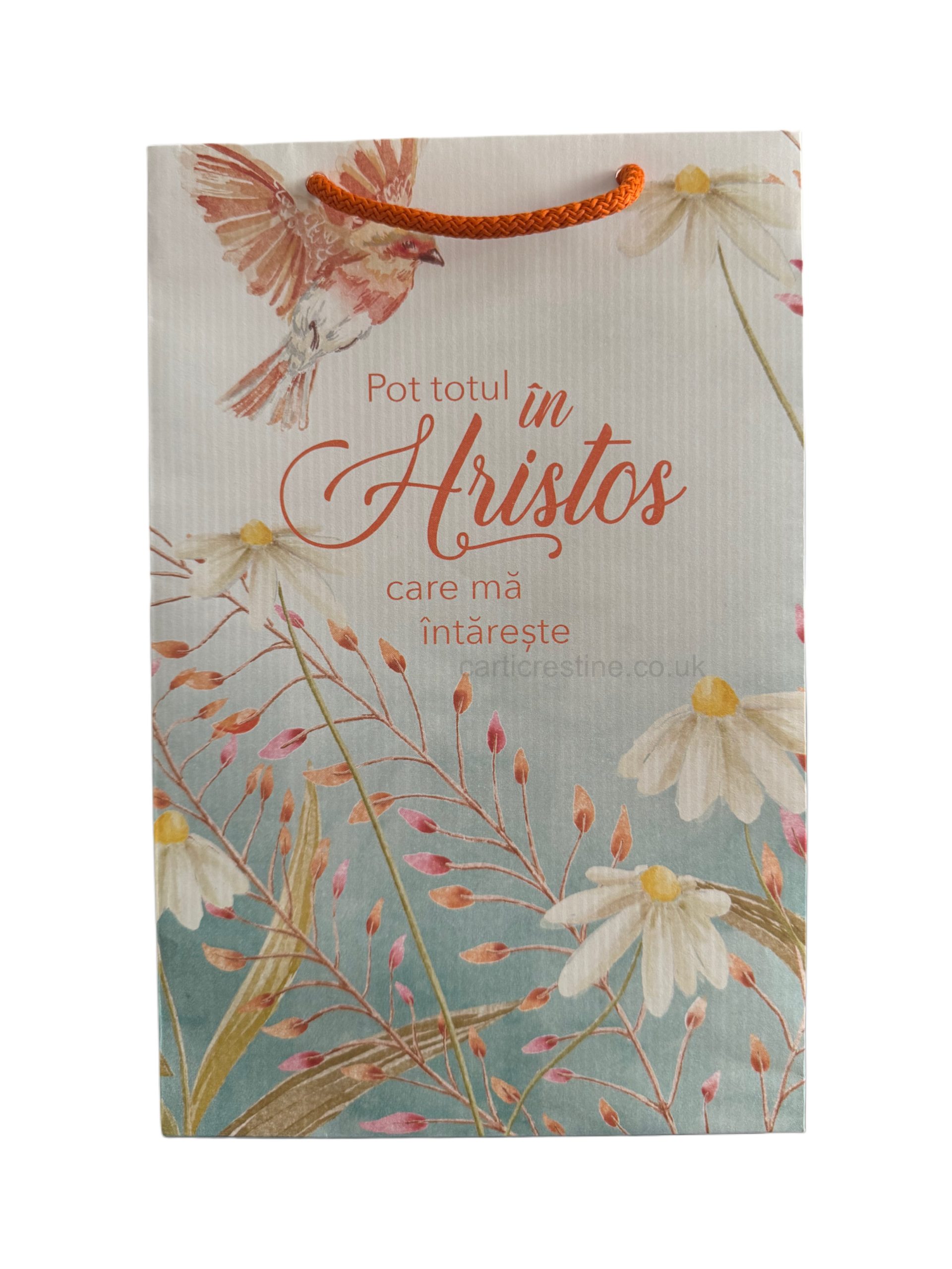 punga-cadou-pot-totul-carti-crestine-londra
